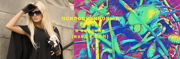 apvp Алексин