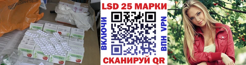 ЛСД экстази ecstasy  где купить   Ивангород 