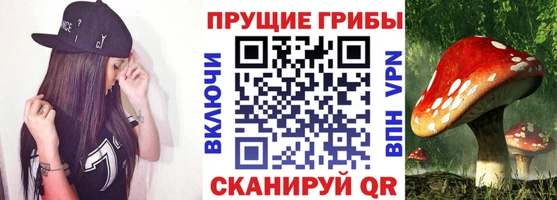 Псилоцибиновые грибы MAGIC MUSHROOMS Ивангород